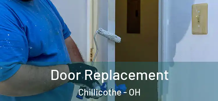 Door Replacement Chillicothe - OH