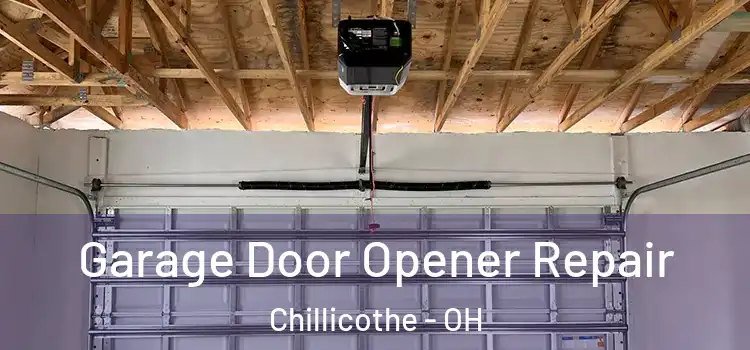  Garage Door Opener Repair Chillicothe - OH