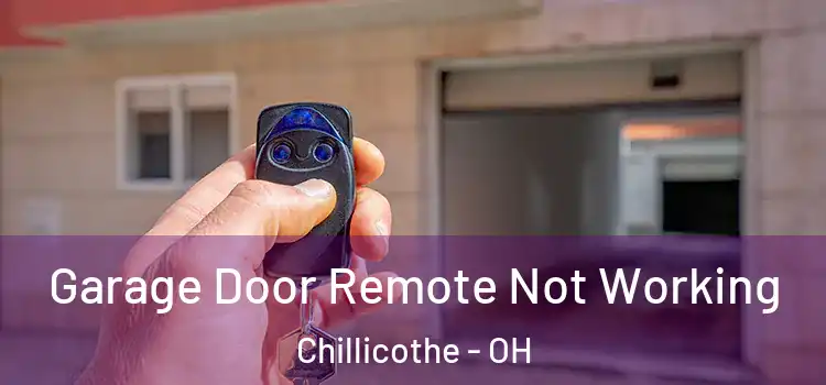  Garage Door Remote Not Working Chillicothe - OH