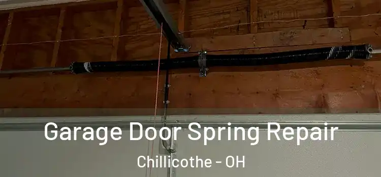  Garage Door Spring Repair Chillicothe - OH