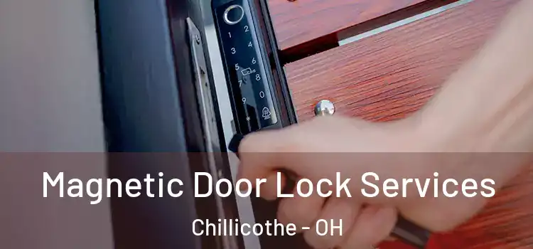 Magnetic Door Lock Services Chillicothe - OH