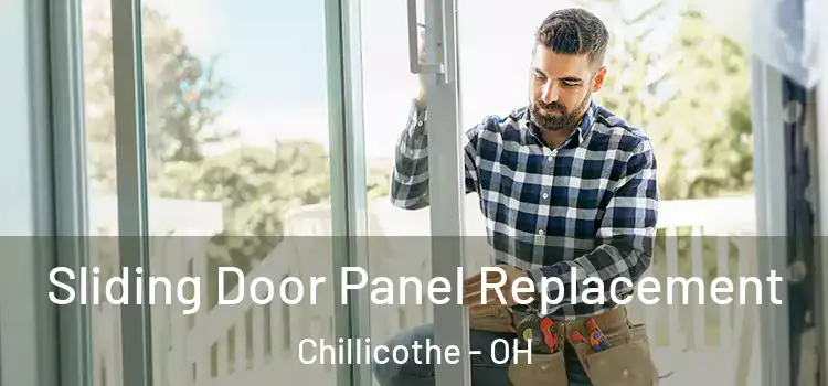  Sliding Door Panel Replacement Chillicothe - OH